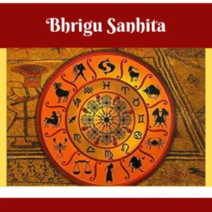Balance Destiny with the Best Bhrigu Sanhita Expert Online Consultant