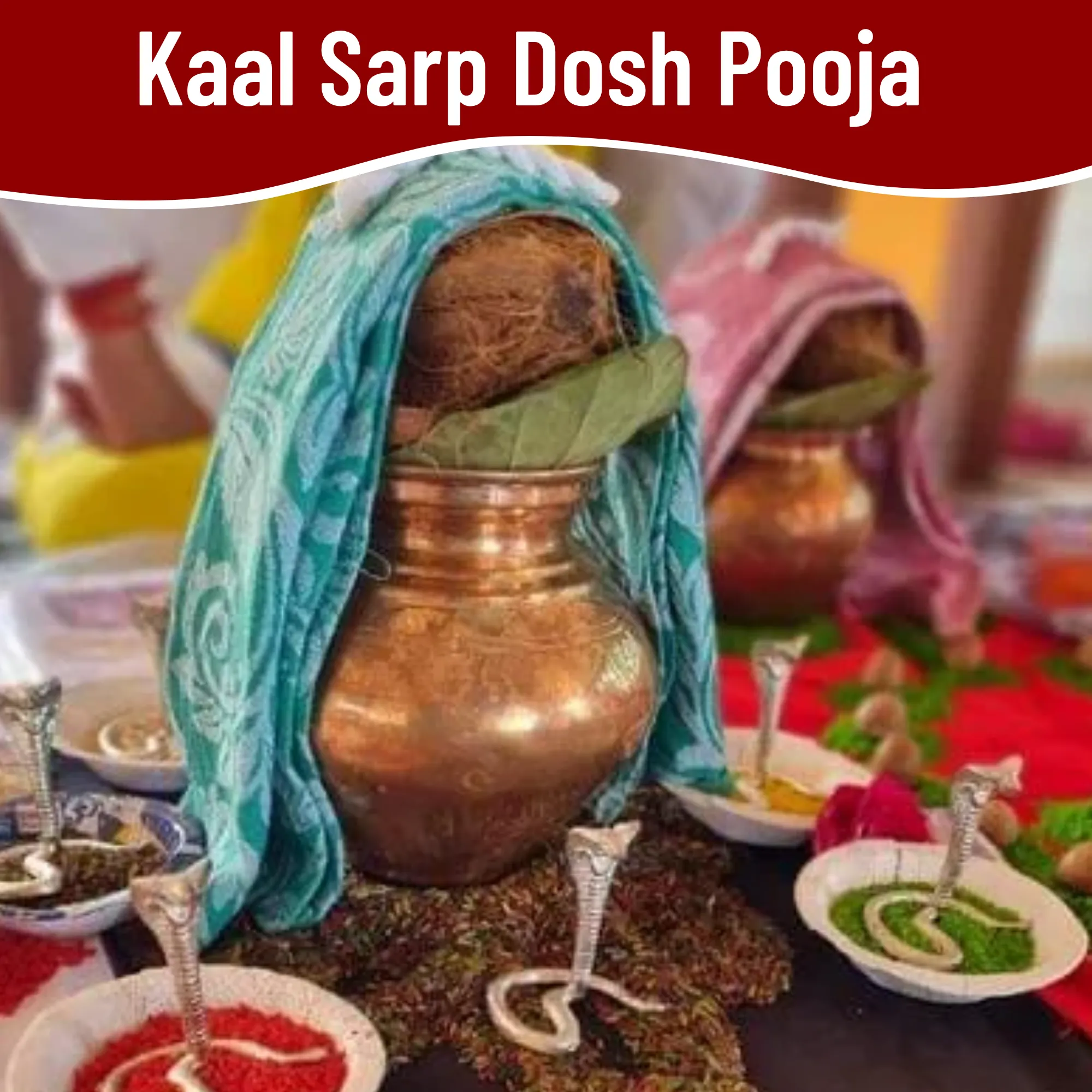 Kaalsarp Dosh Nivaran Pooja by PoojaPathWale – Authentic Vedic Remedy for Kaal Sarp Yog, Performed by Expert Pandits at Dwarka Delhi