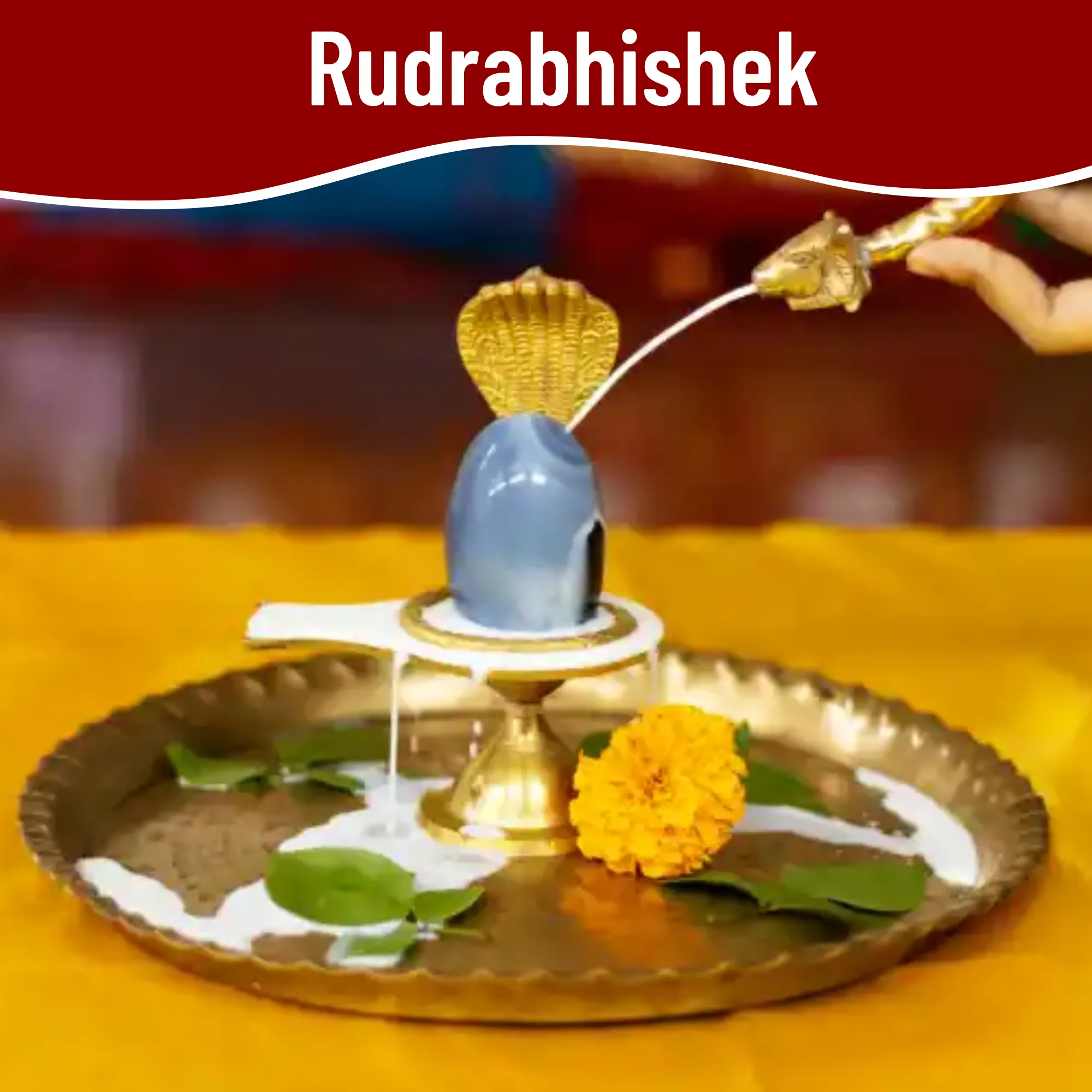 Rudrabhishek Pooja  Attain Peace