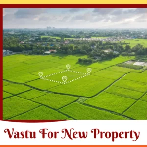 Best Vastu Consultant for New Property Online Trusted Land Vastu Expert Dwarka Delhi