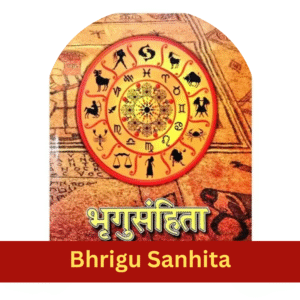 Bhrigu Sanhita Report