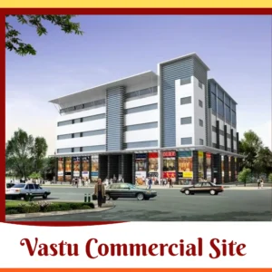 Certified Best Commercial Vastu Online Consultation Services in Dwarka Delhi for Business Growth