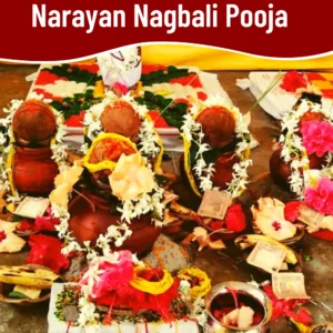Narayan Nagbali Pooja Panditji Online Booking at PoojaPathWale Vedic Ritual for Ancestral Peace