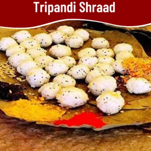100% Authentic Tripandi Shraad Pandit Ji Online Booking in Dwarka Delhi by PoojaPathWale