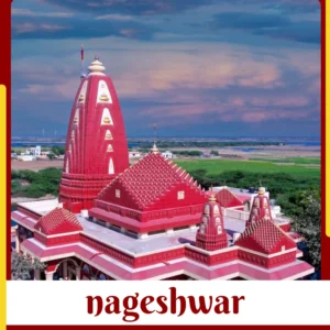 Nageshwar Travel Package from Delhi