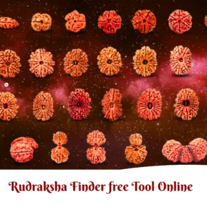 Rudraksha finder free tool online with instant chat. Get personalized suggestions based on birth chart, numerology & planetary positions.