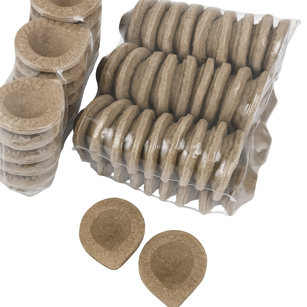 diya 02 pooja path wale